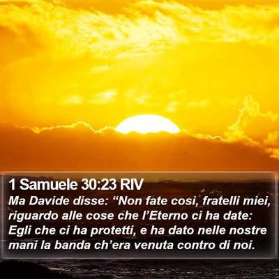 1 Samuele 30:23 RIV Bible Verse Image