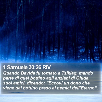1 Samuele 30:26 RIV Bible Verse Image
