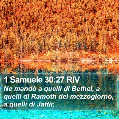 1 Samuele 30:27 RIV Bible Verse Image