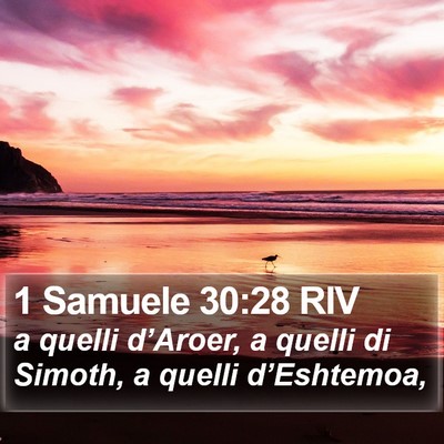 1 Samuele 30:28 RIV Bible Verse Image