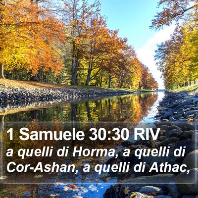 1 Samuele 30:30 RIV Bible Verse Image
