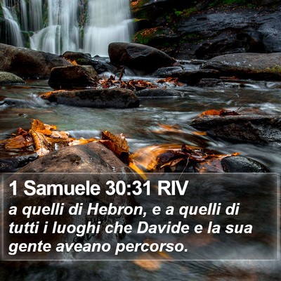 1 Samuele 30:31 RIV Bible Verse Image