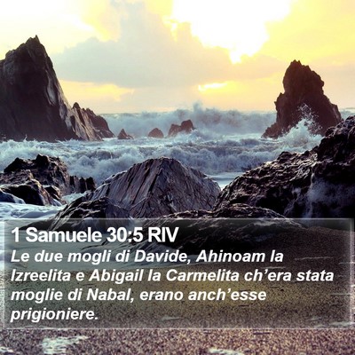 1 Samuele 30:5 RIV Bible Verse Image