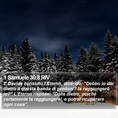 1 Samuele 30:8 RIV Bible Verse Image