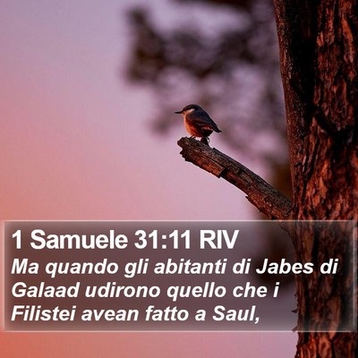 1 Samuele 31:11 RIV Bible Verse Image
