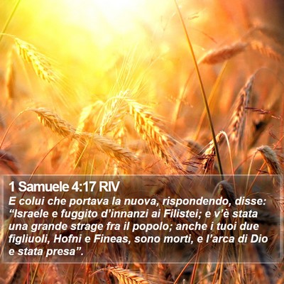 1 Samuele 4:17 RIV Bible Verse Image