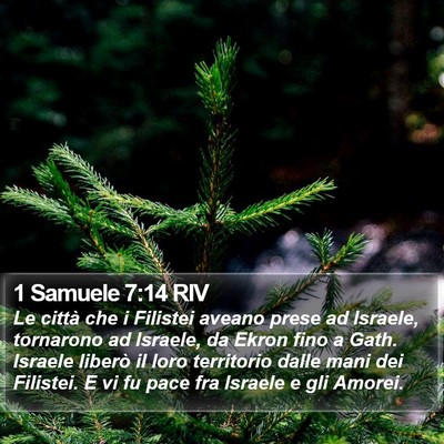 1 Samuele 7:14 RIV Bible Verse Image