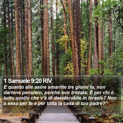 1 Samuele 9:20 RIV Bible Verse Image