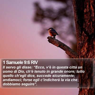 1 Samuele 9:6 RIV Bible Verse Image