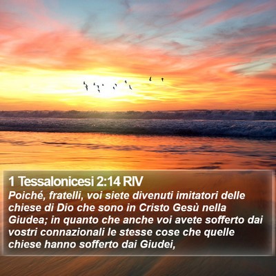 1 Tessalonicesi 2:14 RIV Bible Verse Image