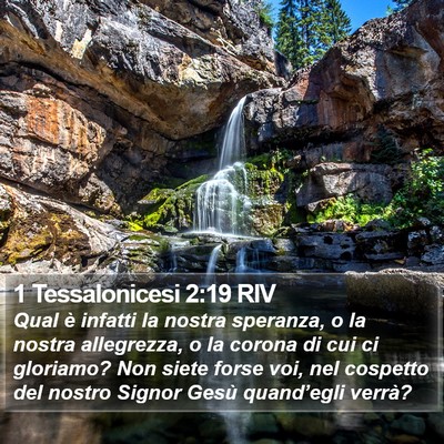 1 Tessalonicesi 2:19 RIV Bible Verse Image