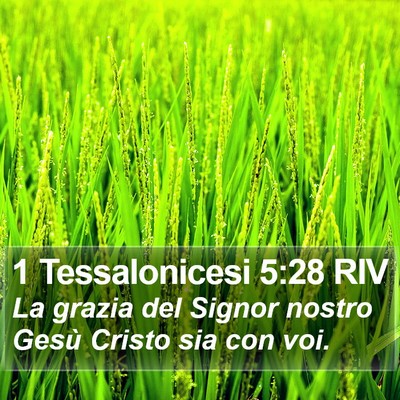 1 Tessalonicesi 5:28 RIV Bible Verse Image