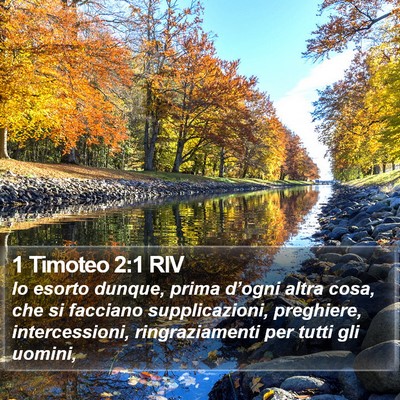 1 Timoteo 2:1 RIV Bible Verse Image