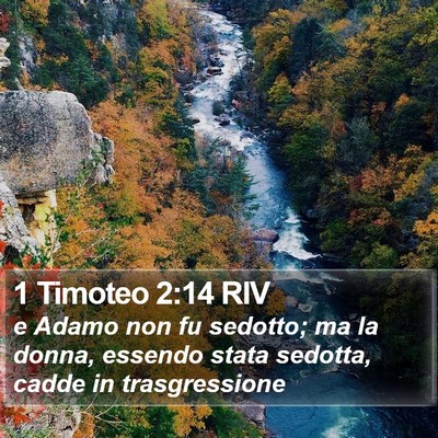 1 Timoteo 2:14 RIV Bible Verse Image