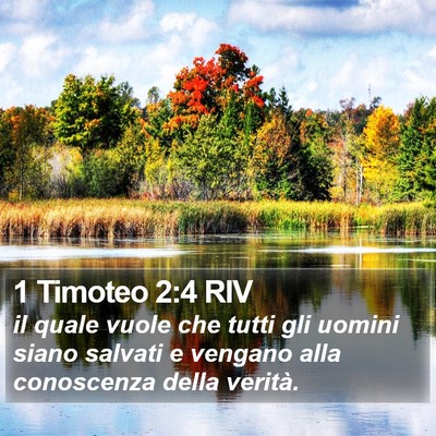 1 Timoteo 2:4 RIV Bible Verse Image