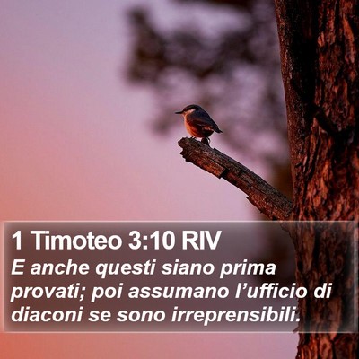1 Timoteo 3:10 RIV Bible Verse Image