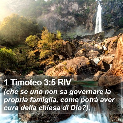 1 Timoteo 3:5 RIV Bible Verse Image