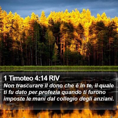 1 Timoteo 4:14 RIV Bible Verse Image