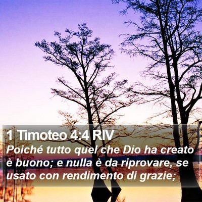 1 Timoteo 4:4 RIV Bible Verse Image