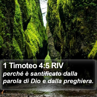 1 Timoteo 4:5 RIV Bible Verse Image