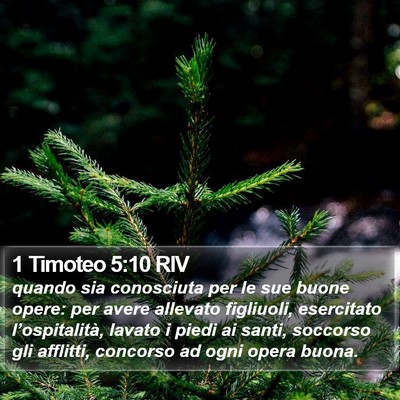 1 Timoteo 5:10 RIV Bible Verse Image