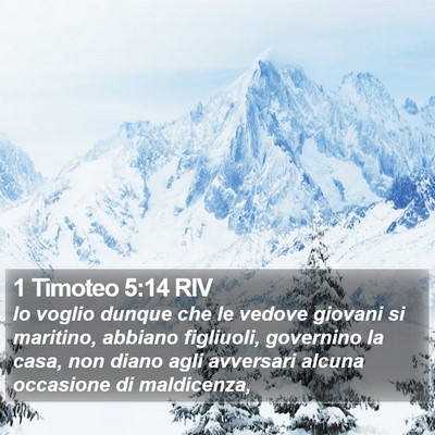 1 Timoteo 5:14 RIV Bible Verse Image