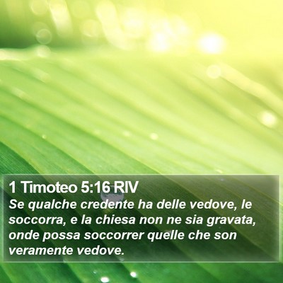 1 Timoteo 5:16 RIV Bible Verse Image