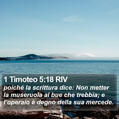 1 Timoteo 5:18 RIV Bible Verse Image