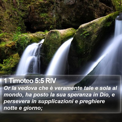 1 Timoteo 5:5 RIV Bible Verse Image