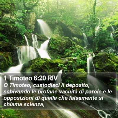 1 Timoteo 6:20 RIV Bible Verse Image