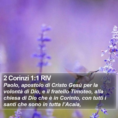 2 Corinzi 1:1 RIV Bible Verse Image