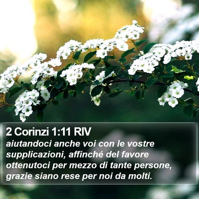 2 Corinzi 1:11 RIV Bible Verse Image