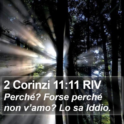 2 Corinzi 11:11 RIV Bible Verse Image