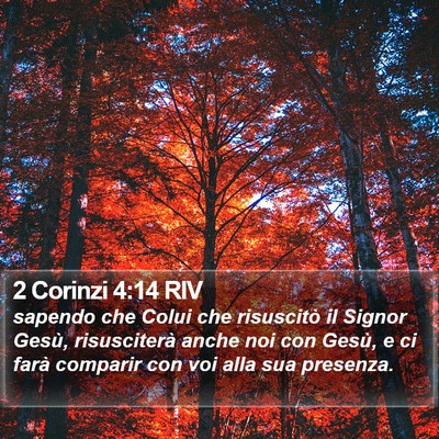 2 Corinzi 4:14 RIV Bible Verse Image