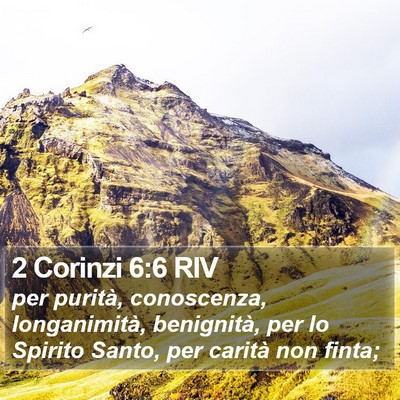 2 Corinzi 6:6 RIV Bible Verse Image