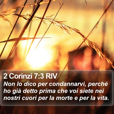 2 Corinzi 7:3 RIV Bible Verse Image