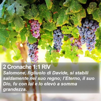 2 Cronache 1:1 RIV Bible Verse Image