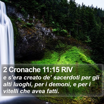 2 Cronache 11:15 RIV Bible Verse Image