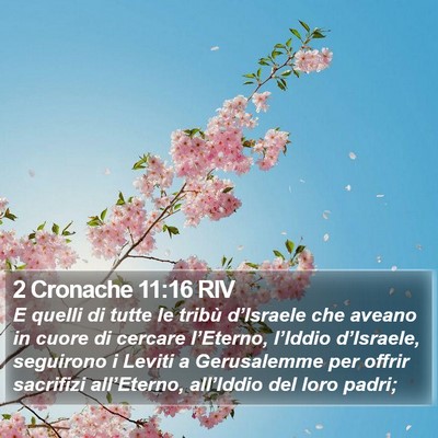 2 Cronache 11:16 RIV Bible Verse Image