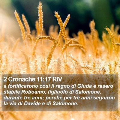 2 Cronache 11:17 RIV Bible Verse Image