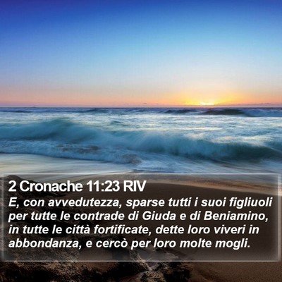 2 Cronache 11:23 RIV Bible Verse Image