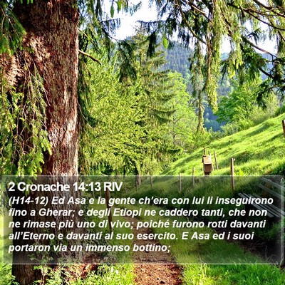 2 Cronache 14:13 RIV Bible Verse Image