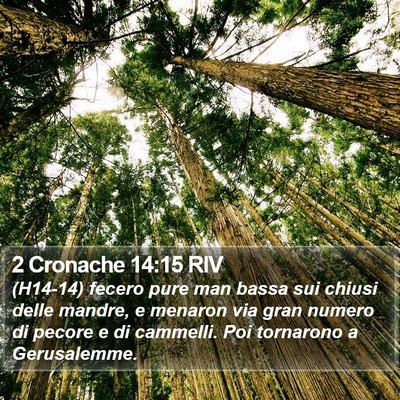 2 Cronache 14:15 RIV Bible Verse Image