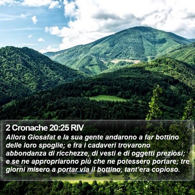 2 Cronache 20:25 RIV Bible Verse Image