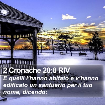 2 Cronache 20:8 RIV Bible Verse Image