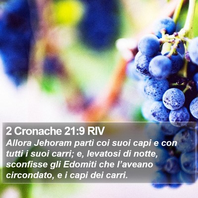 2 Cronache 21:9 RIV Bible Verse Image