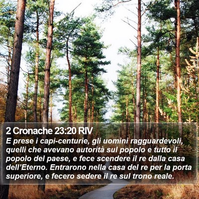 2 Cronache 23:20 RIV Bible Verse Image