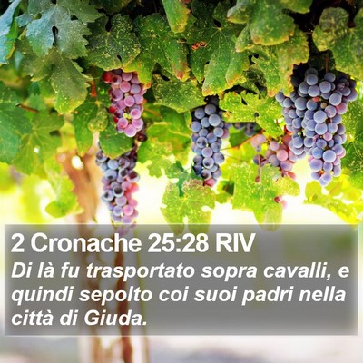 2 Cronache 25:28 RIV Bible Verse Image