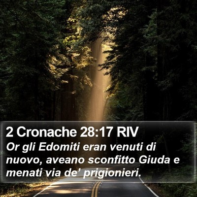 2 Cronache 28:17 RIV Bible Verse Image