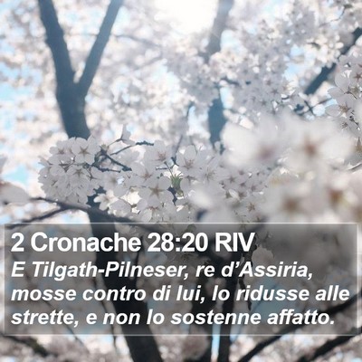 2 Cronache 28:20 RIV Bible Verse Image